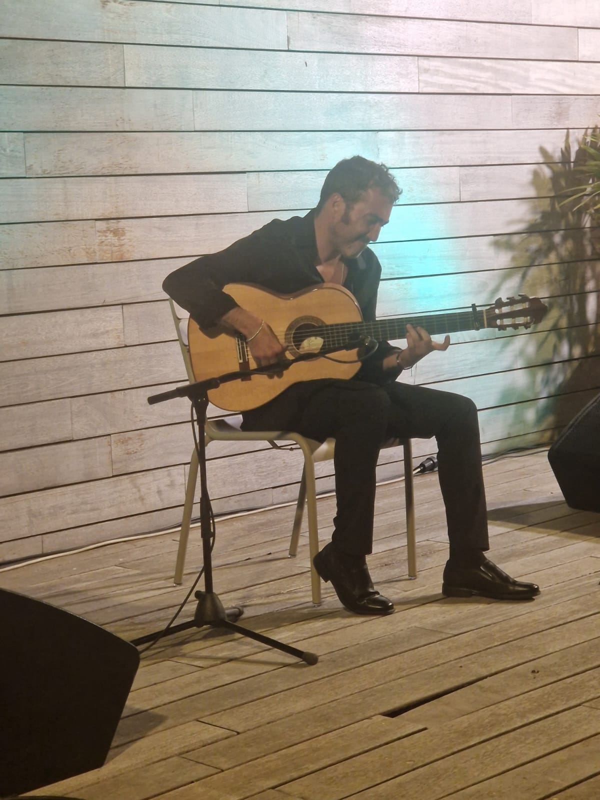 Una noche de flamenco en los jardines del Palacio